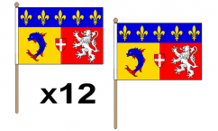 Rhone-Alpes Hand Flags